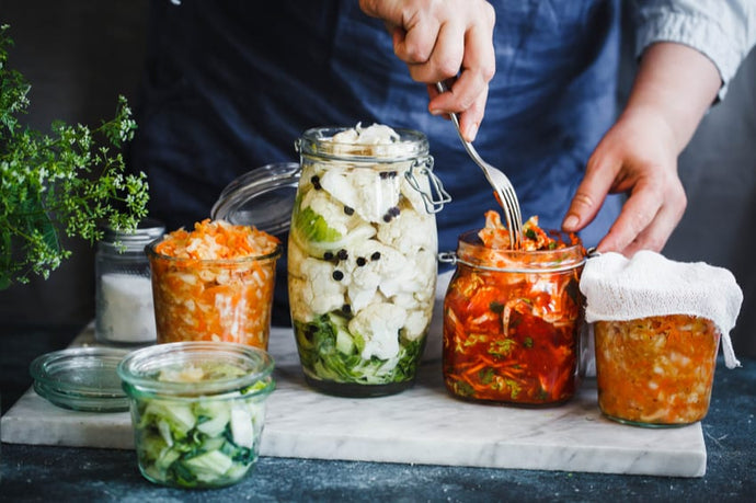 Fermentation – Where health begins